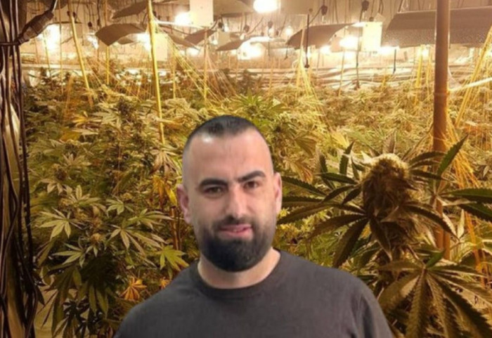 “Na shkatërroi”, drejtori i burgut të Rrogozhinës bën fajtor vëllain për magazinën me 4000 bimë kanabis