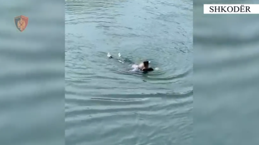 Polici bën heroin në Shkodër, hidhet në Bunë dhe shpëton një grua nga mbytja