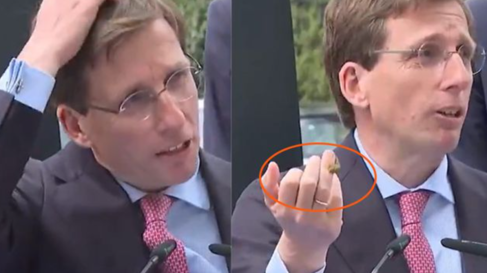 Pëllumbi “bekon” kryetarin e bashkisë në mes të fjalimit