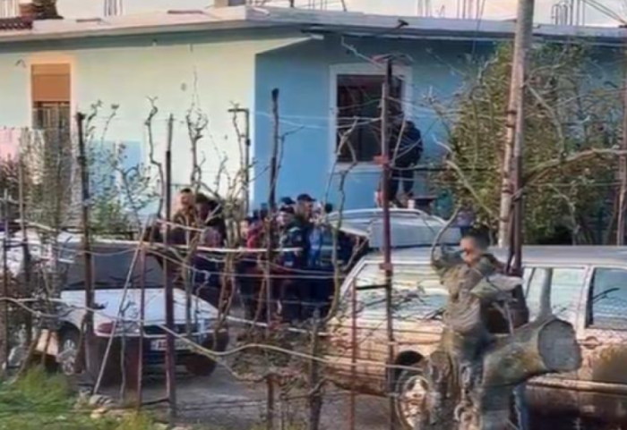 Krimi tragjik në Roskovec, 80-vjeçari vrau bashkëshorten dhe veten, i biri zbulon konfliktet në familje