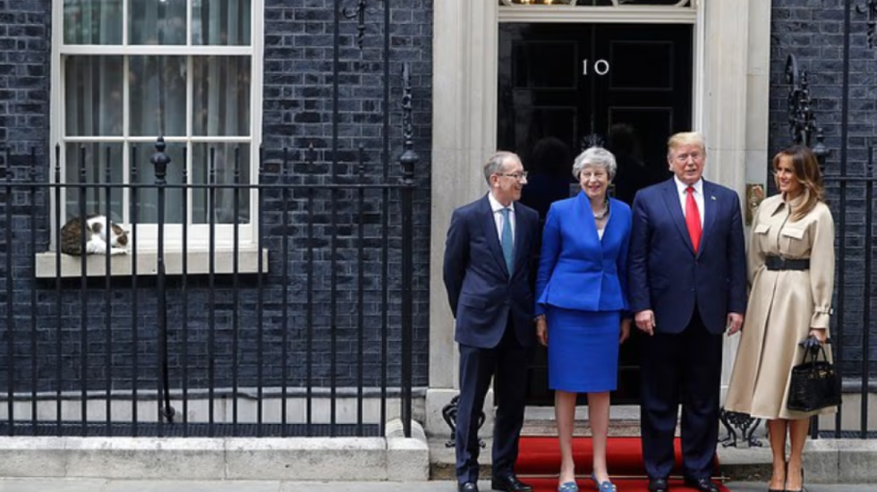 Macja “kryeministrore” në krye të detyrës, kapet nga kamerat teksa kap një mi