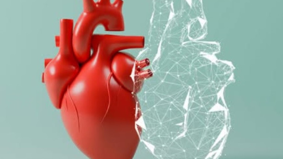 Zemër "binjake" për pacientët me probleme kardiake