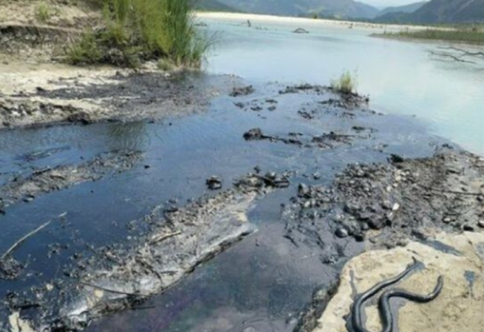 Ndotja mjedisore në Vjosë, procedohen 4 punonjës të kompanisë së nxjerrjes së naftës