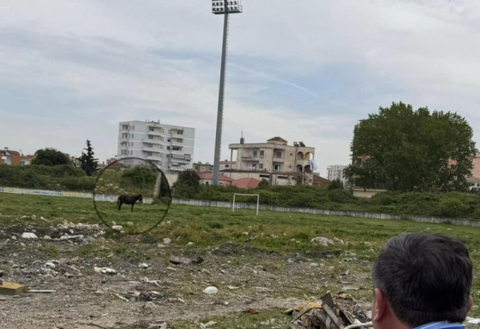 “Penalltitë në Kavajë i gjuan kali”, gjendja katastrofike e stadiumit “Besa”