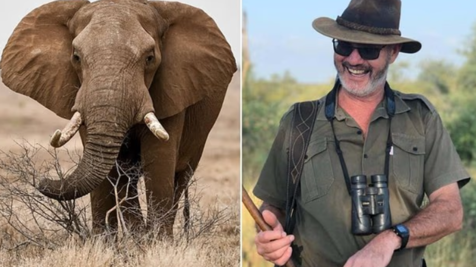 “Më mirë të vdes unë sesa ta vras”, pronari i safarit vritet nga elefanti