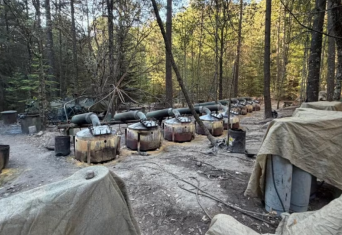 Operacion kundër karteleve në Meksikë, humbin jetën dy agjentë të CIA-s