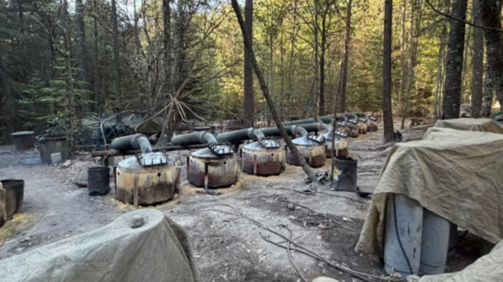 Operacion kundër karteleve në Meksikë, humbin jetën dy agjentë të CIA-s