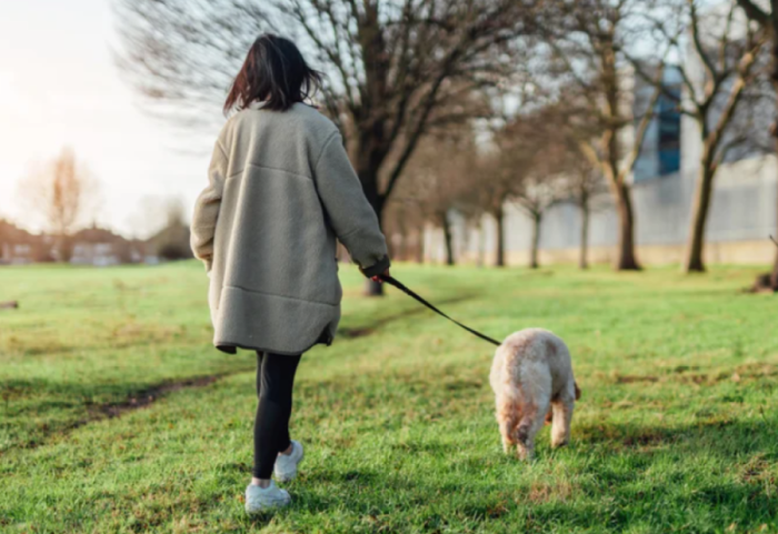 Puna e ëndrrave në Angli, 68.000 euro rrogë dhe akomodim në vilë… për t’u kujdesur për qenin