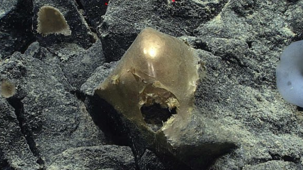 Zbulohet misteri i “vezëve të arta” në fundin e oqeanit